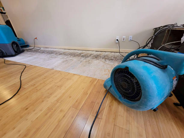 Reliable Basement Flood Cleanup contractor in Cockeysville, MD by Hirex Water Damage