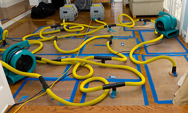 Professional Basement Flood Cleanup technician working in Cockeysville, MD
